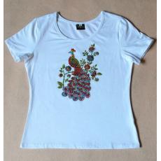 ̩����T������ɫ�����