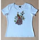 ̩����T������ɫ�����