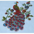 ̩����T������ɫ�����